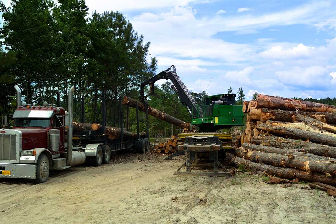 Neill Timberland Management Truck and Tree-Moving Equipment