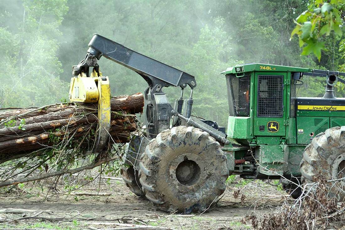 Neill Timberland Forestry Heavy Equipment
