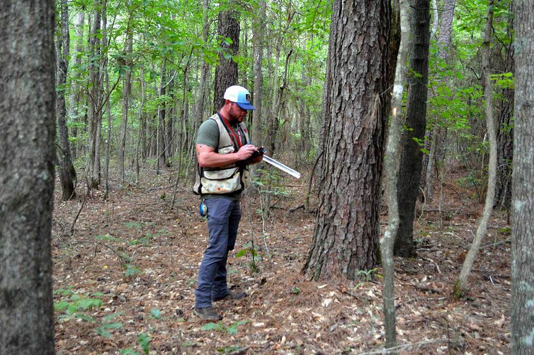 Bran Neill Inspecting Tree Grove